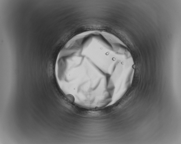 X0000112460457200909141101