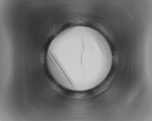 X0000112460458200909141101