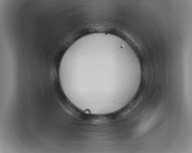 X0000112460459200909141101