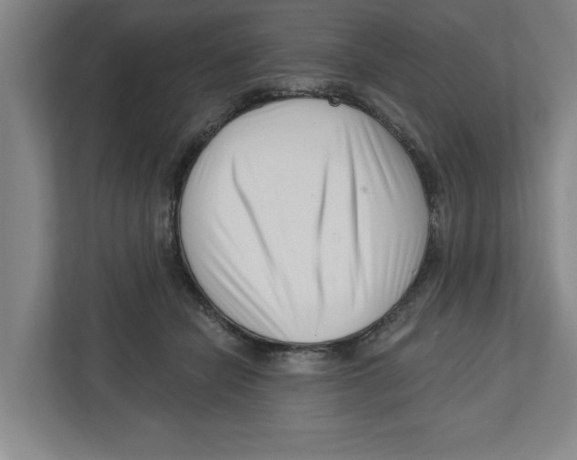 X0000112460462200909141101