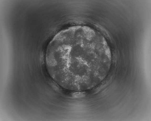 X0000112460465200909141101