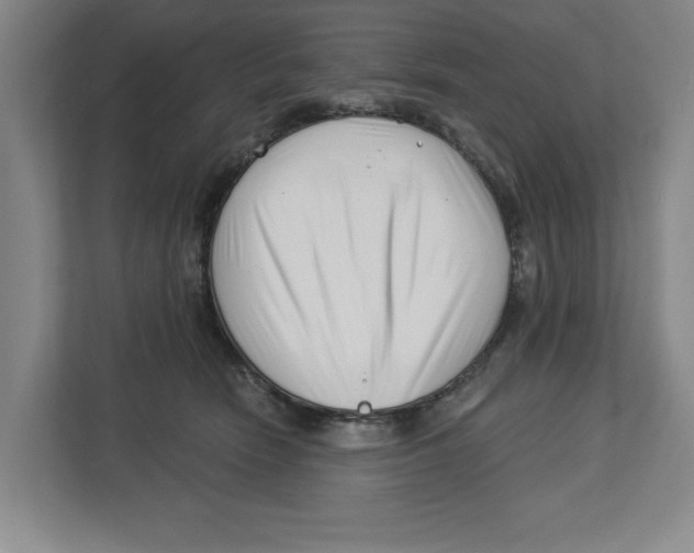 X0000112460466200909141101