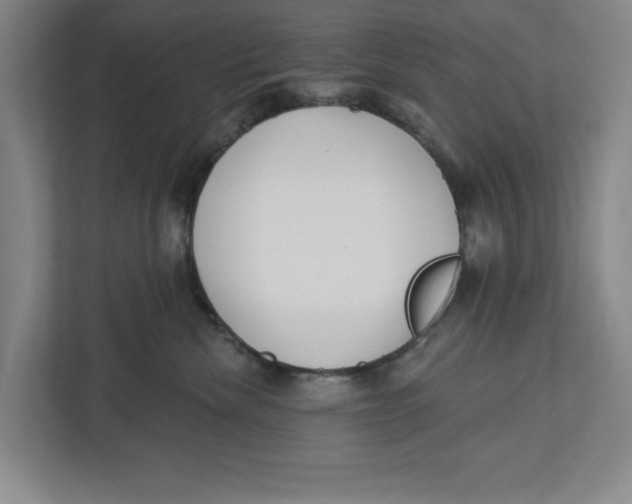 X0000112460476200909141102