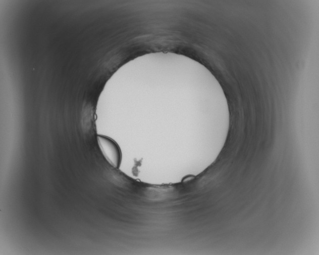 X0000112460480200909141102