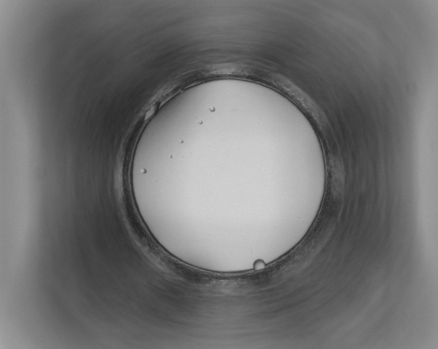 X0000112460482200909141101