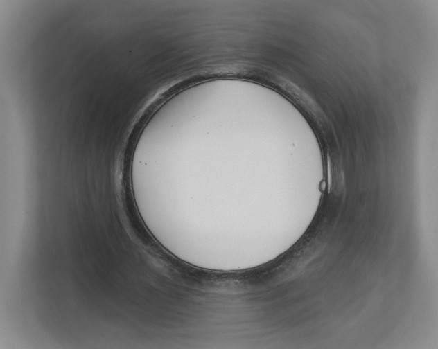 X0000112460483200909141101