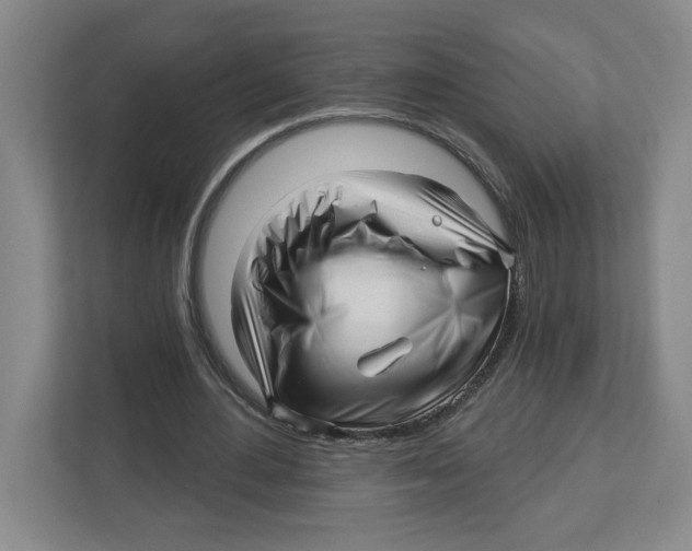 X0000112460484200909141101