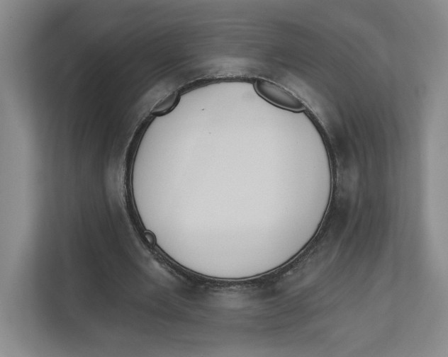 X0000112460485200909141101