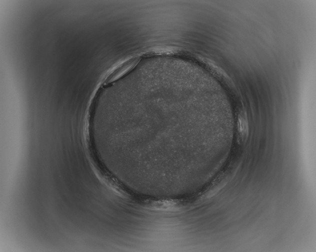 X0000112460492200909141101