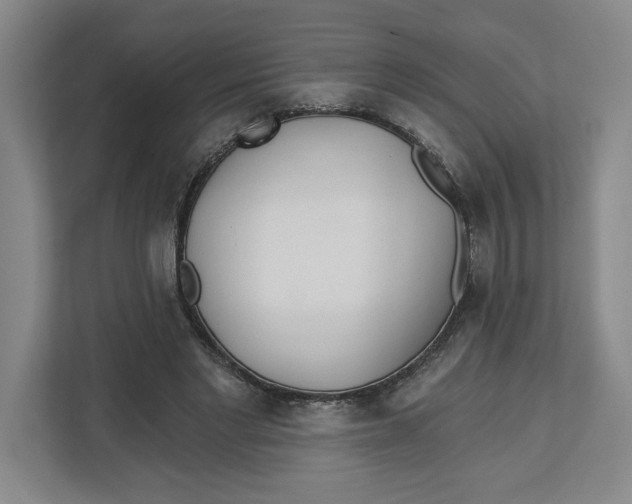 X0000112460493200909141101