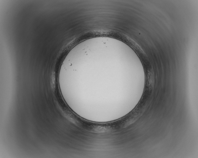 X0000112460494200909141101