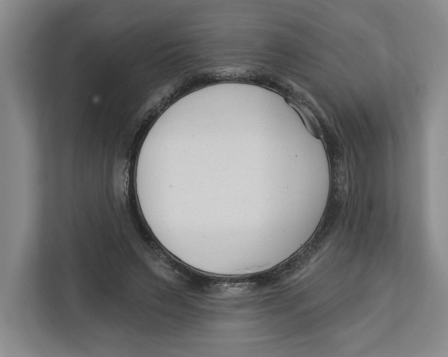 X0000112460495200909141101