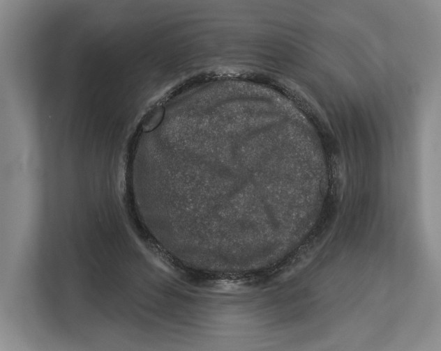 X0000112460496200909141101