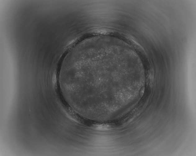 X0000112460500200909141101