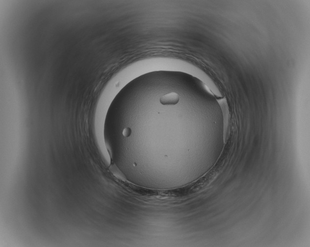 X0000112460504200909141101