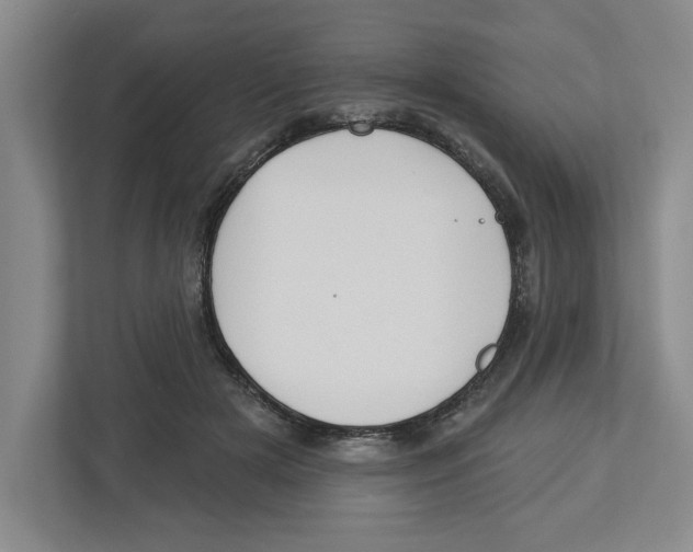 X0000112460505200909141101