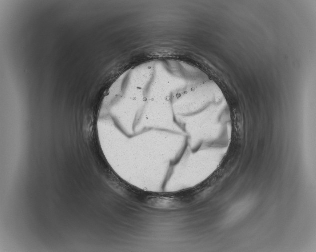 X0000112460507200909141101