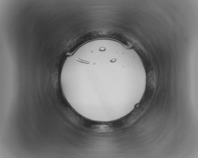 X0000112460509200909141101