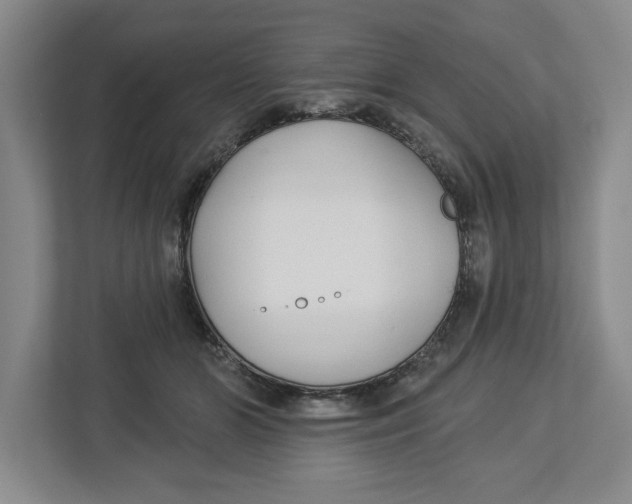 X0000112460510200909141101