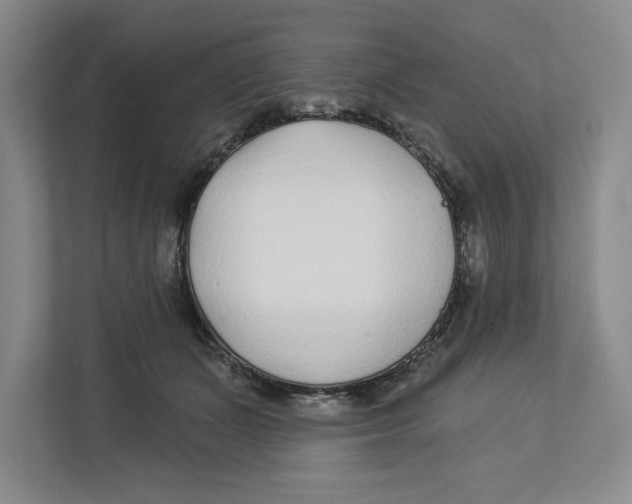 X0000112460511200909141101