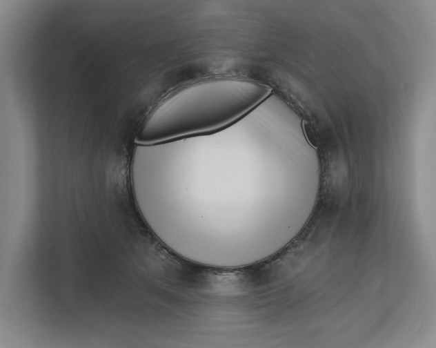 X0000112460513200909141101