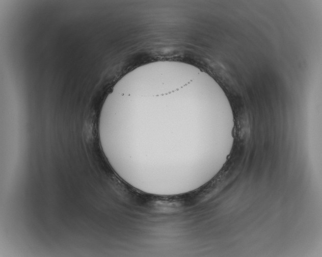 X0000112460515200909141101