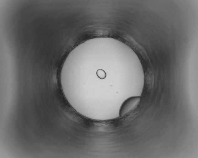 X0000112460516200909141101