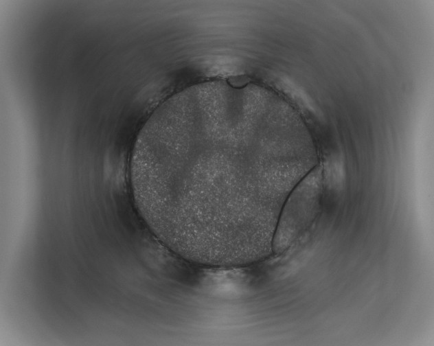 X0000112460517200909141101