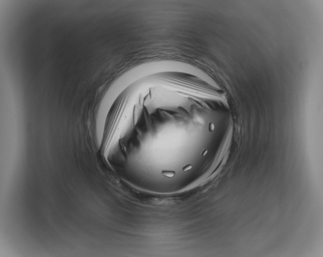 X0000112460520200909141101