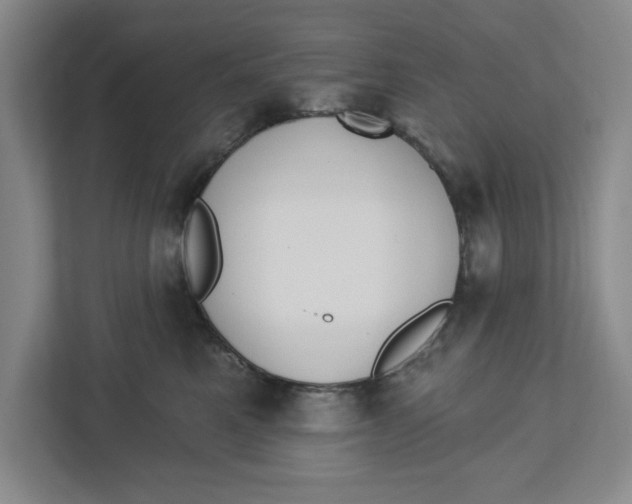 X0000112460521200909141101
