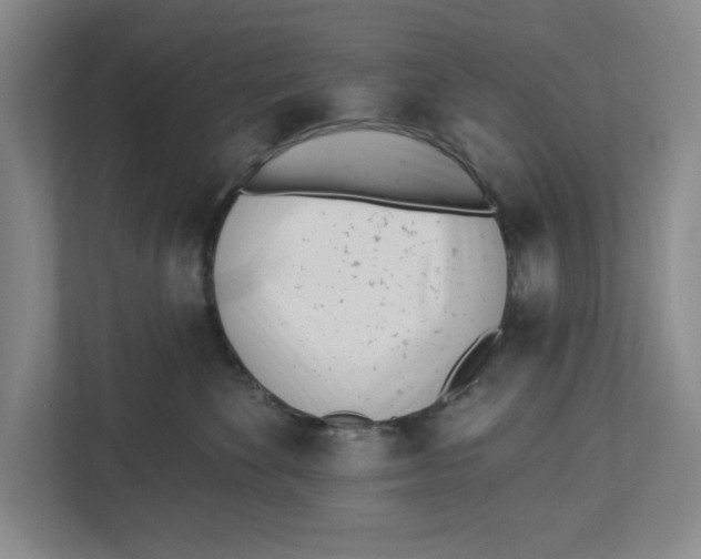 X0000112460524200909141100