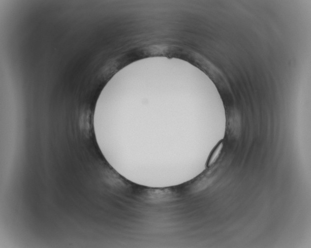 X0000112460525200909141100