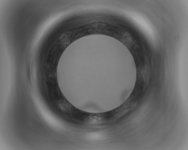 X0000112460526200909141100
