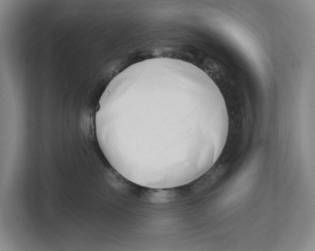 X0000112460527200909141100