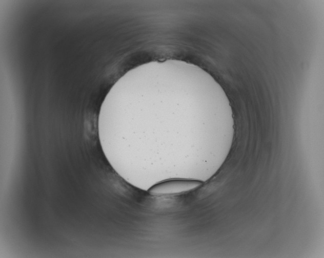 X0000112460528200909141100