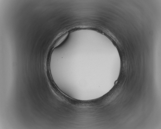 X0000112460530200909141100