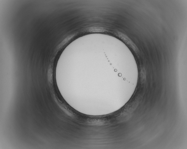 X0000112460533200909141100