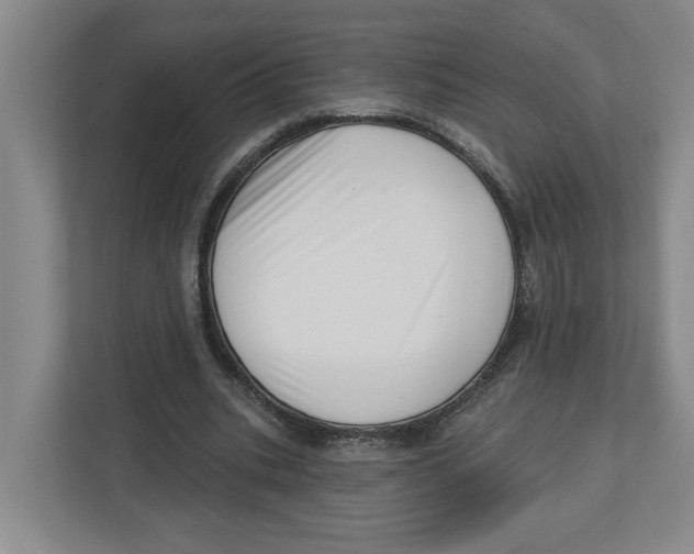 X0000112460535200909141100