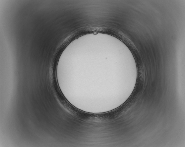 X0000112460538200909141100