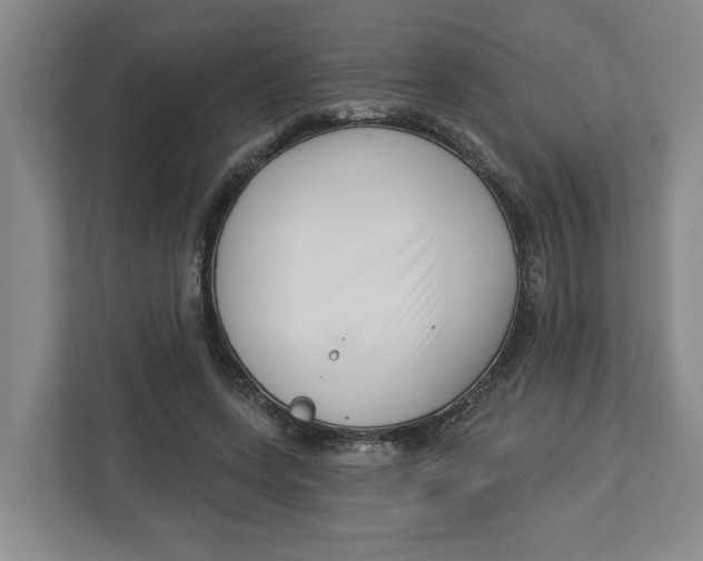 X0000112460543200909141100