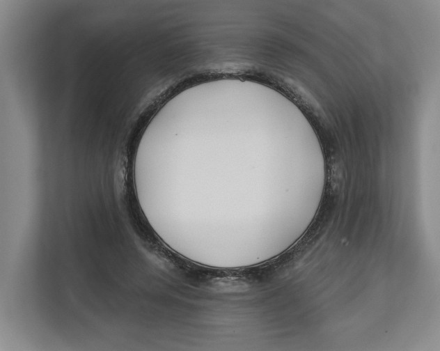 X0000112460544200909141100