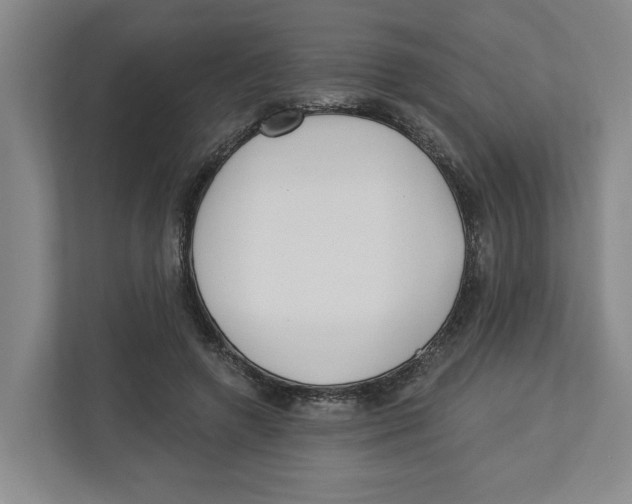 X0000112460546200909141100