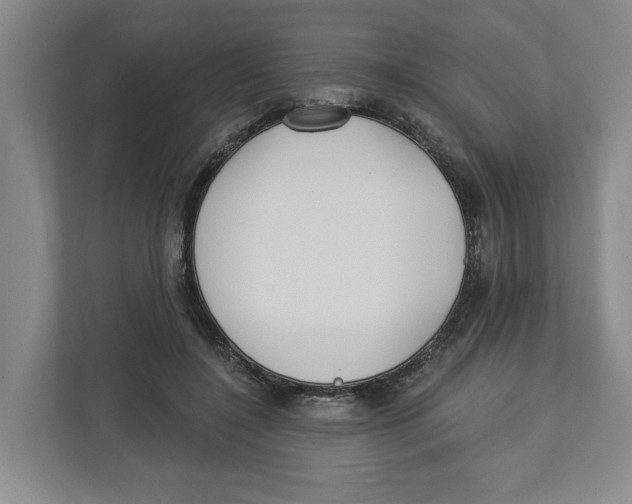 X0000112460548200909141100