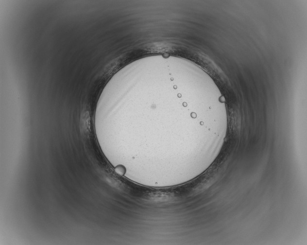 X0000112460549200909141100