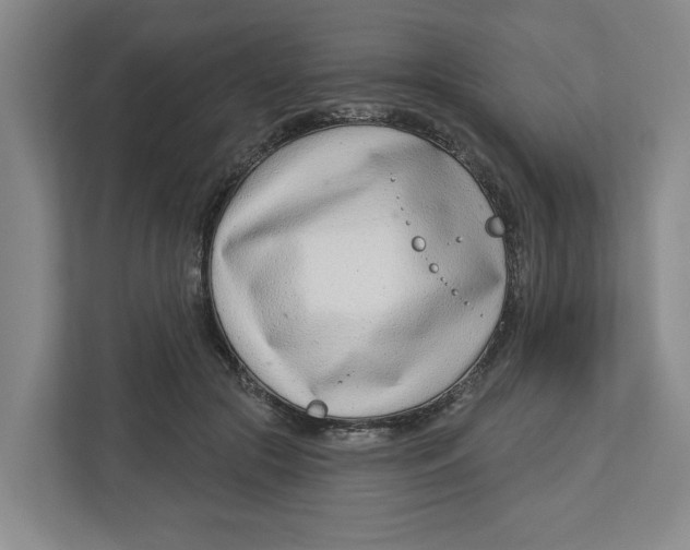 X0000112460553200909141100