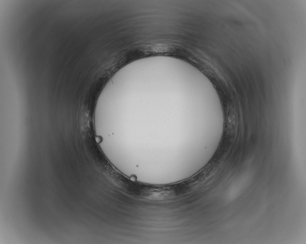 X0000112460555200909141100