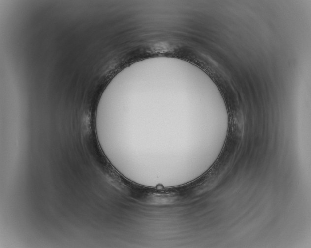 X0000112460556200909141100