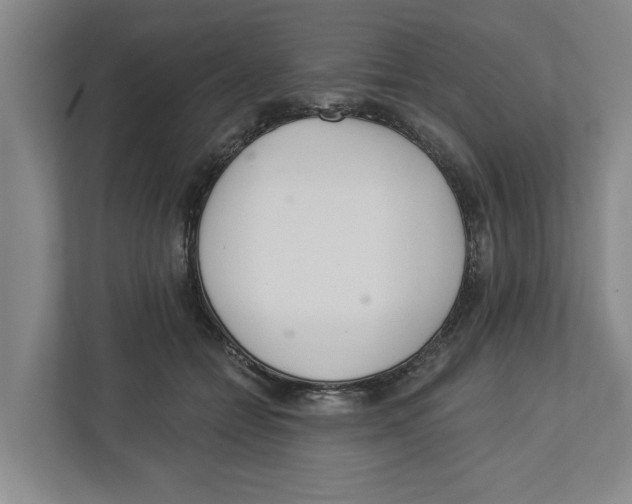 X0000112460558200909141100