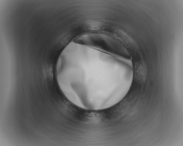X0000112460562200909141100