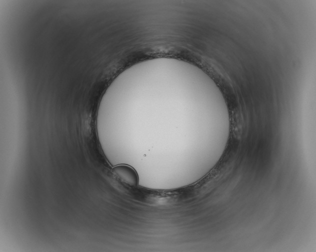 X0000112460563200909141100